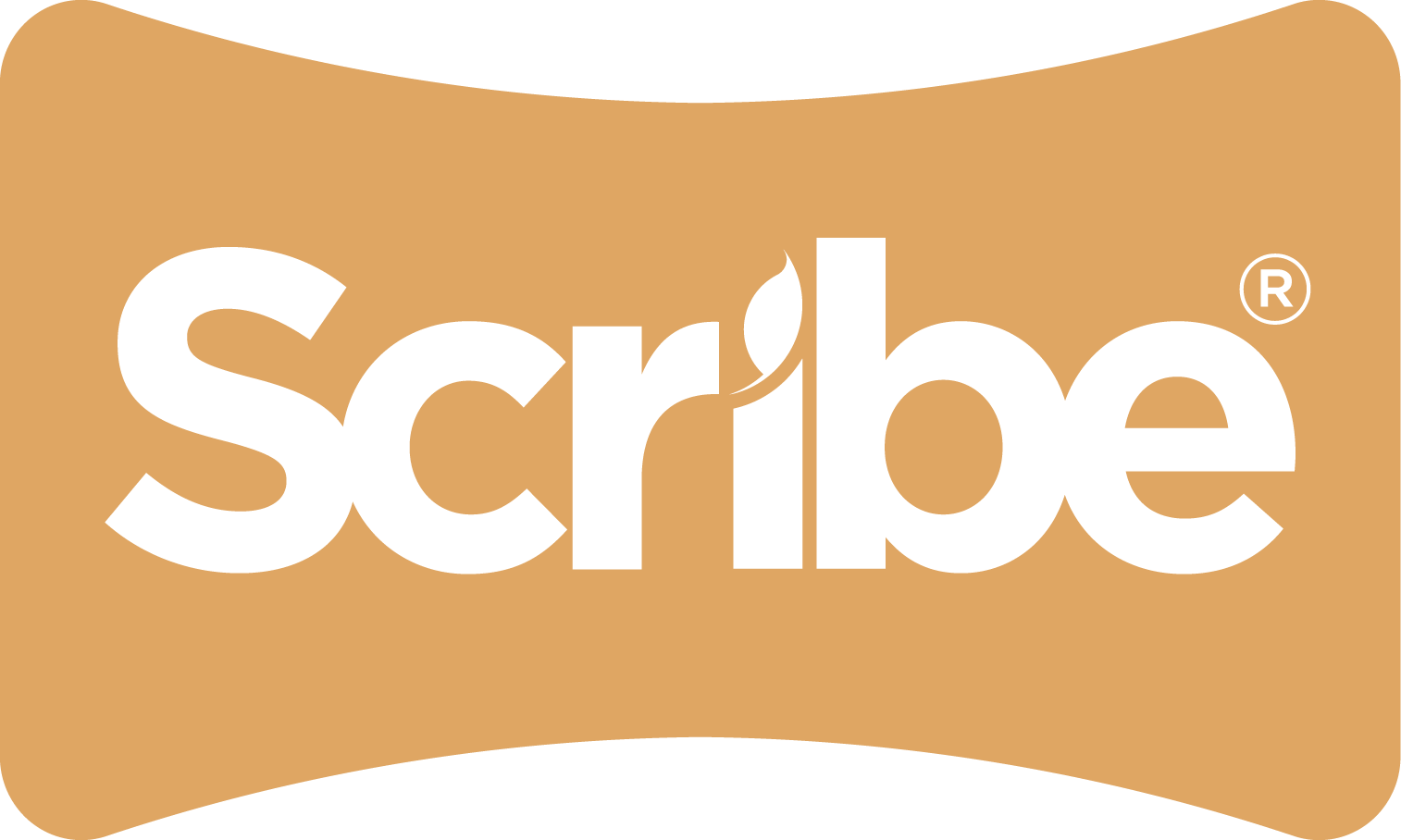 Logo Scribe